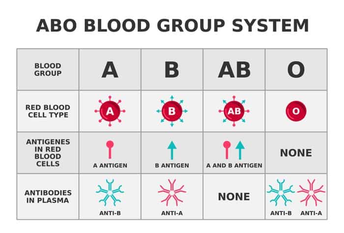 ABObloodGroupSystemDiagram.jpeg