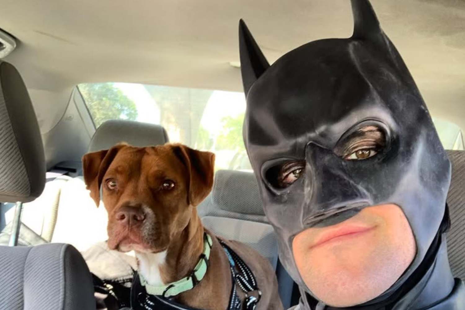 Chris Van Dorn, l’eroe vestito da Batman che salva cani e gatti dalla soppressione 1 Chris Van Dorn.jpg