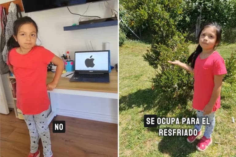 Questa bambina che non conosce i brand, ma distingue le piante (e le loro proprietà curative) ti emozionerà 6 Marche piante.jpg