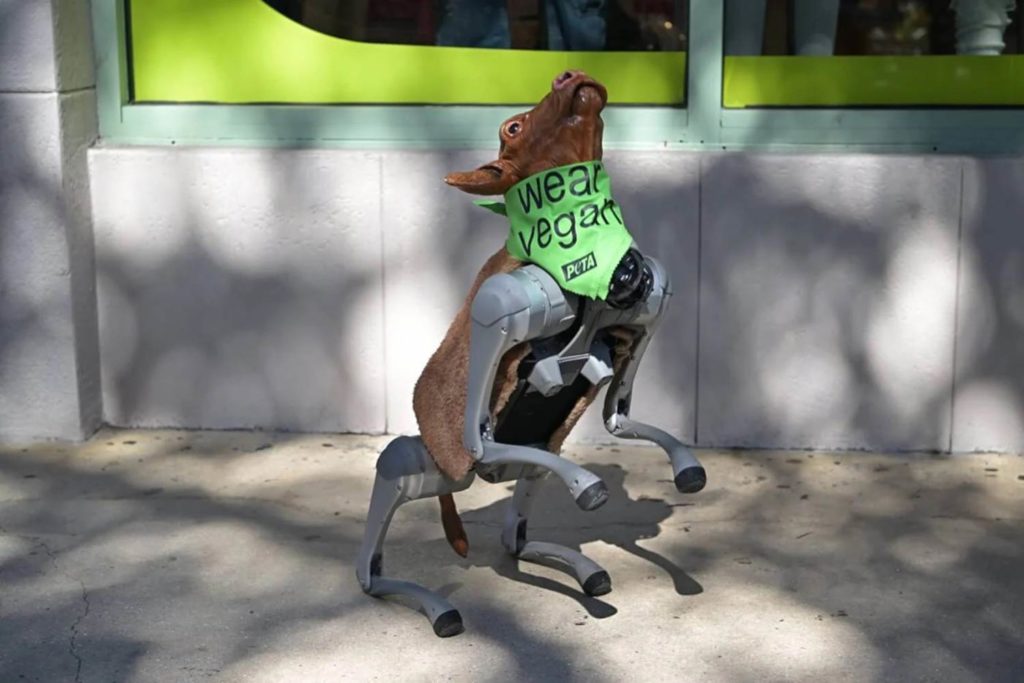 PETA robot.jpg