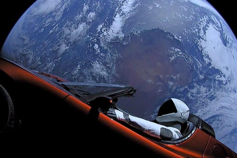 Tesla Musk.jpg