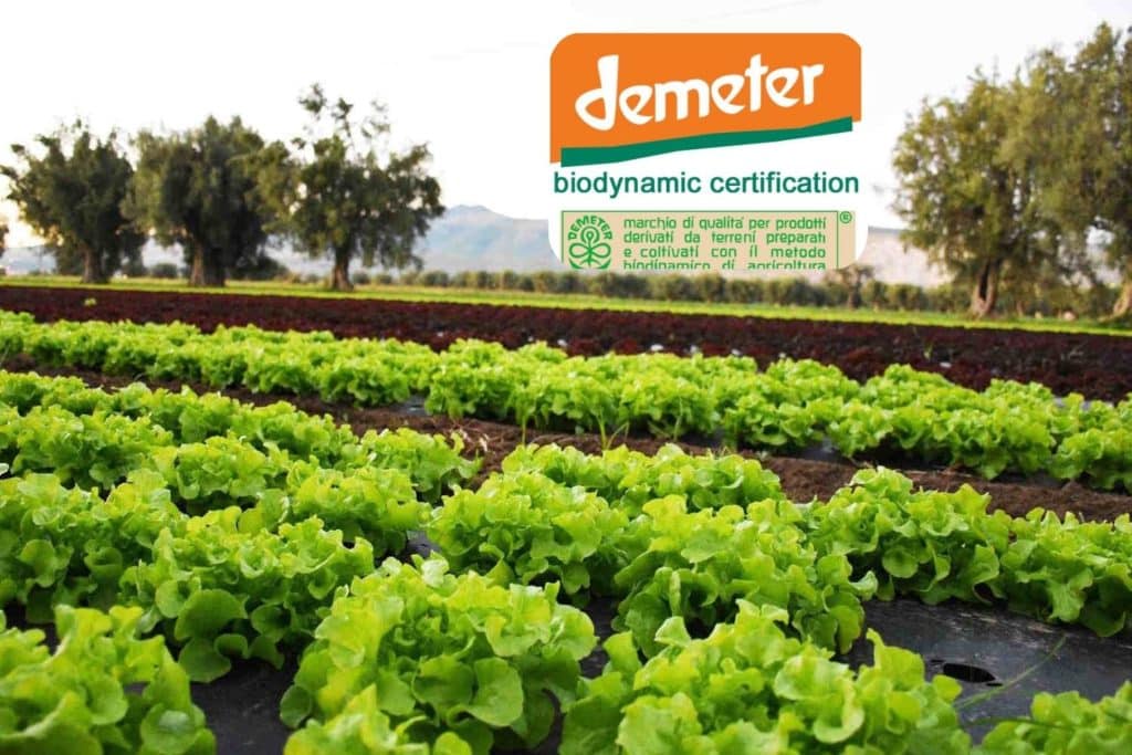 agricoltura biodinamica demeter.jpg