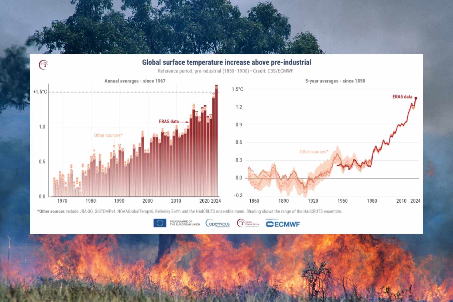 Il 2025 si apre tra fiamme e un nuovo allarme climatico: superata per la prima volta la soglia critica di 1.5°C 1 copernicus 15.jpg