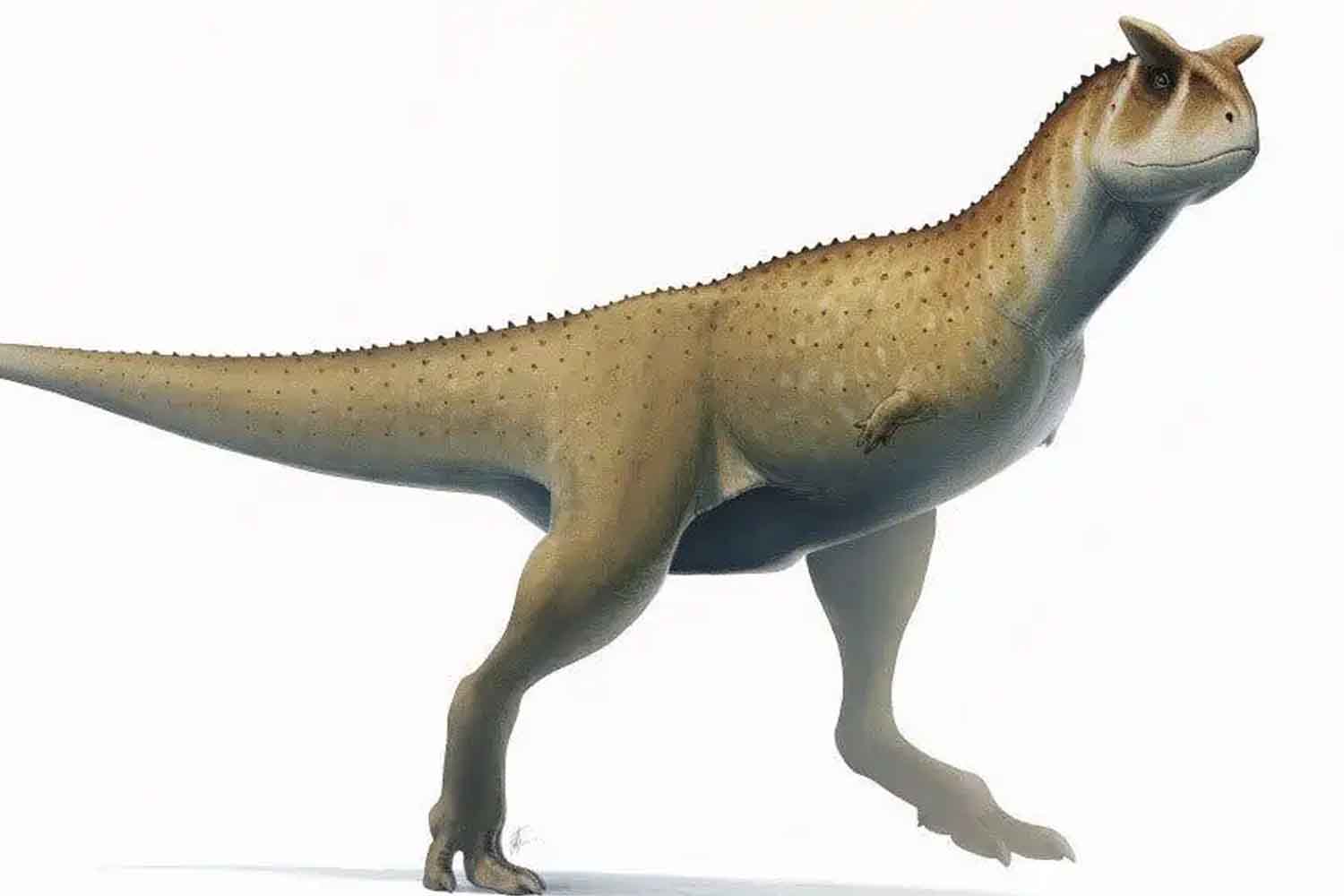 dinosauro senza braccia.jpg