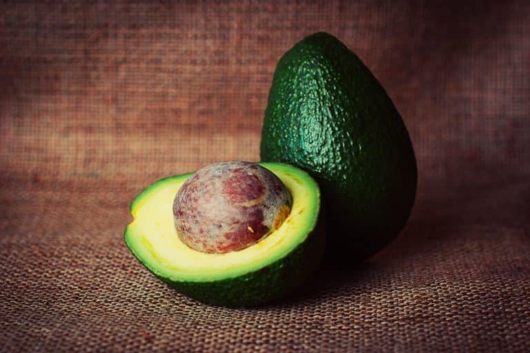 nocciolo avocado.jpg