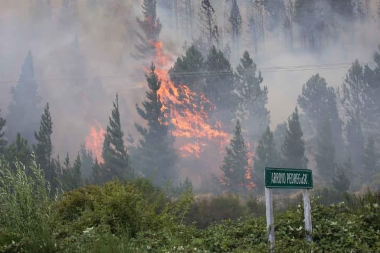 patagonia incendi.jpg