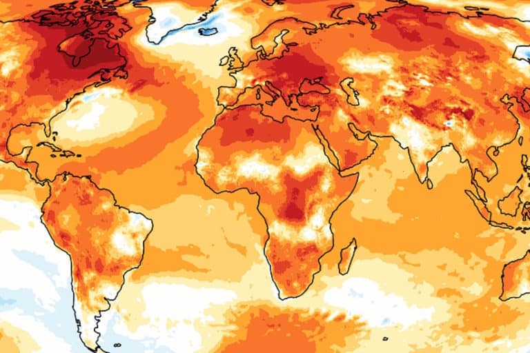 temperatura globale 2024 record c.jpg