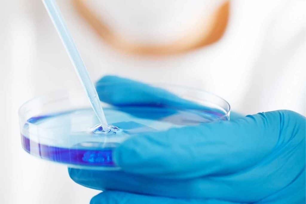 test in laboratorio.jpg