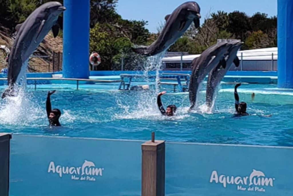 Acquario Mar del Plata.jpg