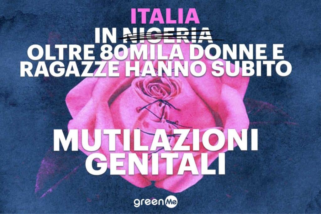 Cover Redazione Nuova 1500 x 1000 px 24.jpg