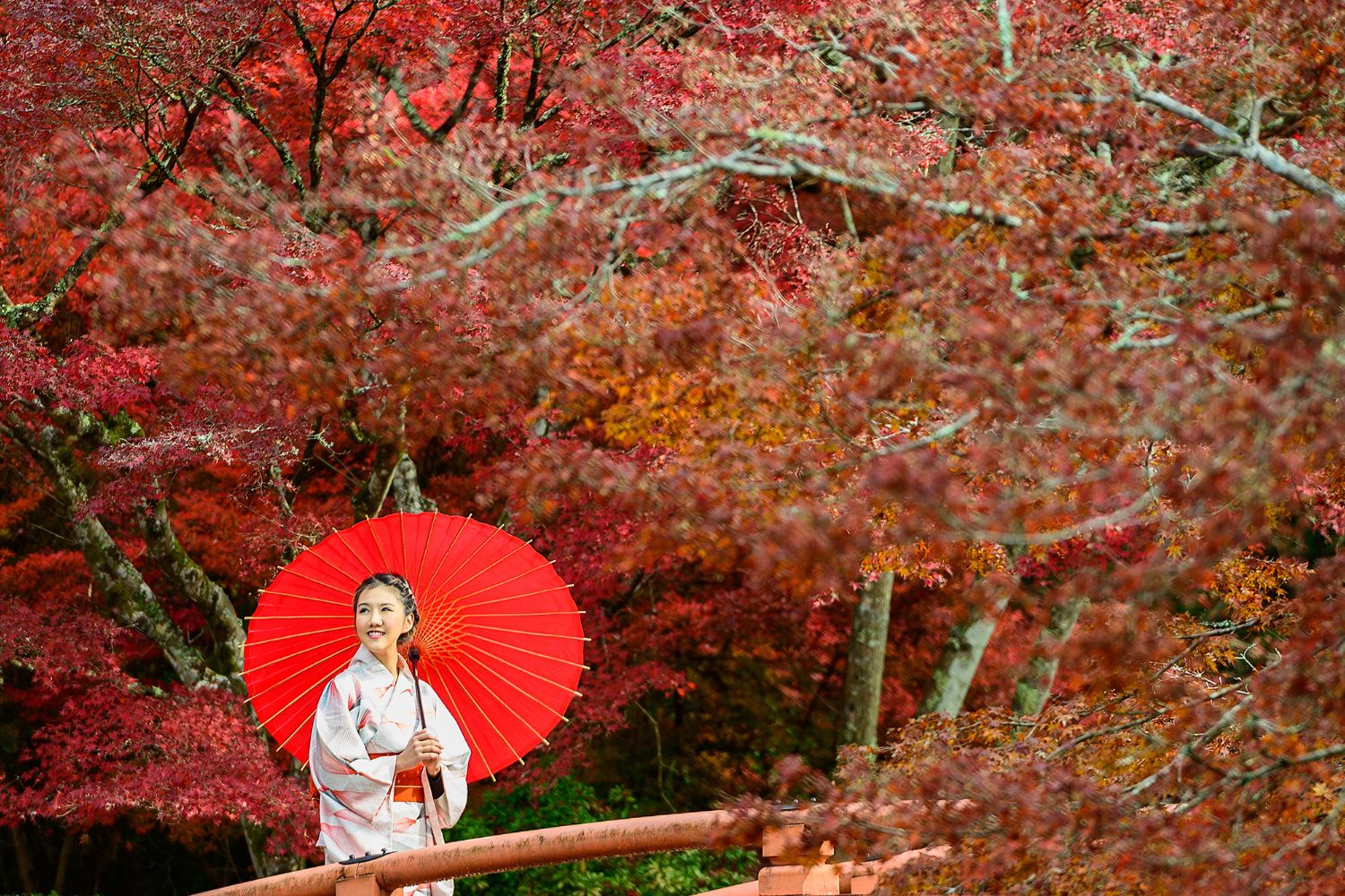 Ukiyo: il segreto dei giapponesi per vivere sereni e senza stress 1 Cover Redazione Nuova 1500 x 1000 px 42.jpg