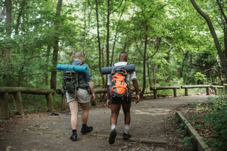 Passeggiare tra gli alberi.jpg