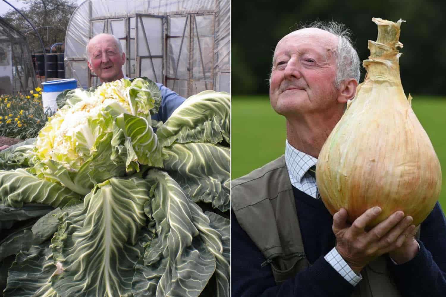 Peter Glazebrook, il giardiniere 80enne che batte ogni record mondiale con i suoi ortaggi giganti 1 Peter Glazebrook.jpg