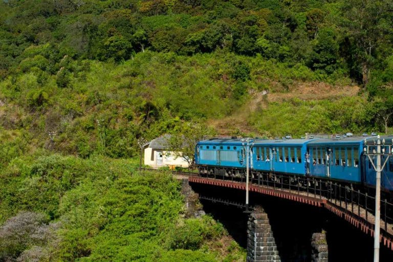 Treno elefanti.jpg