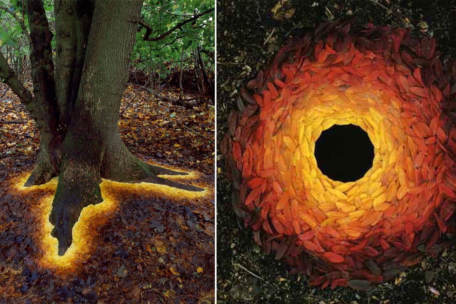 Questo artista realizza affascinanti opere di Land Art che sembrano appartenere a un mondo parallelo 1 andy goldsworthy ok.jpg