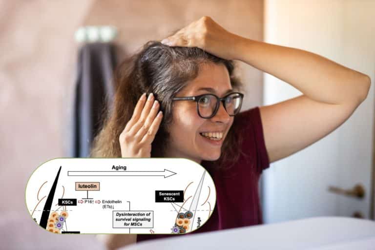 antiossidanti capelli GRIGI.jpg