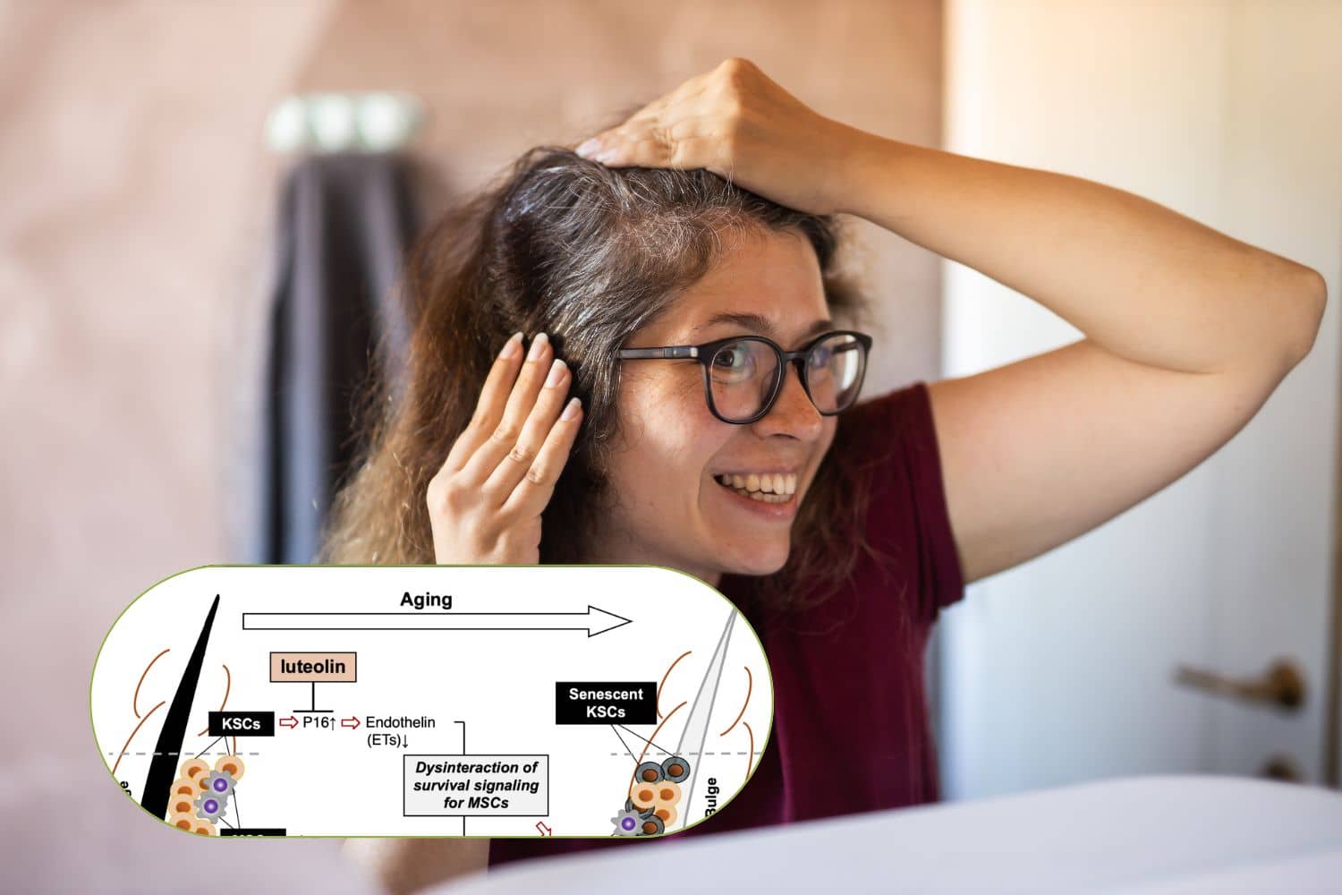 antiossidanti capelli GRIGI.jpg