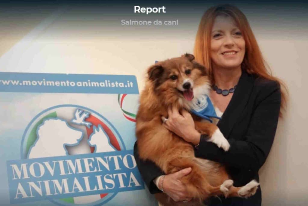 brambilla report 1.jpg