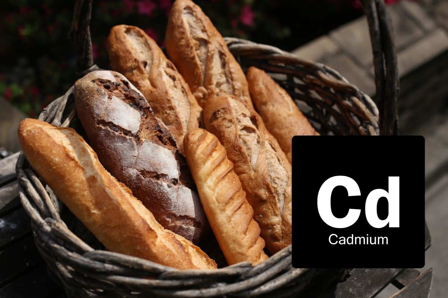 cadmio pane.jpg