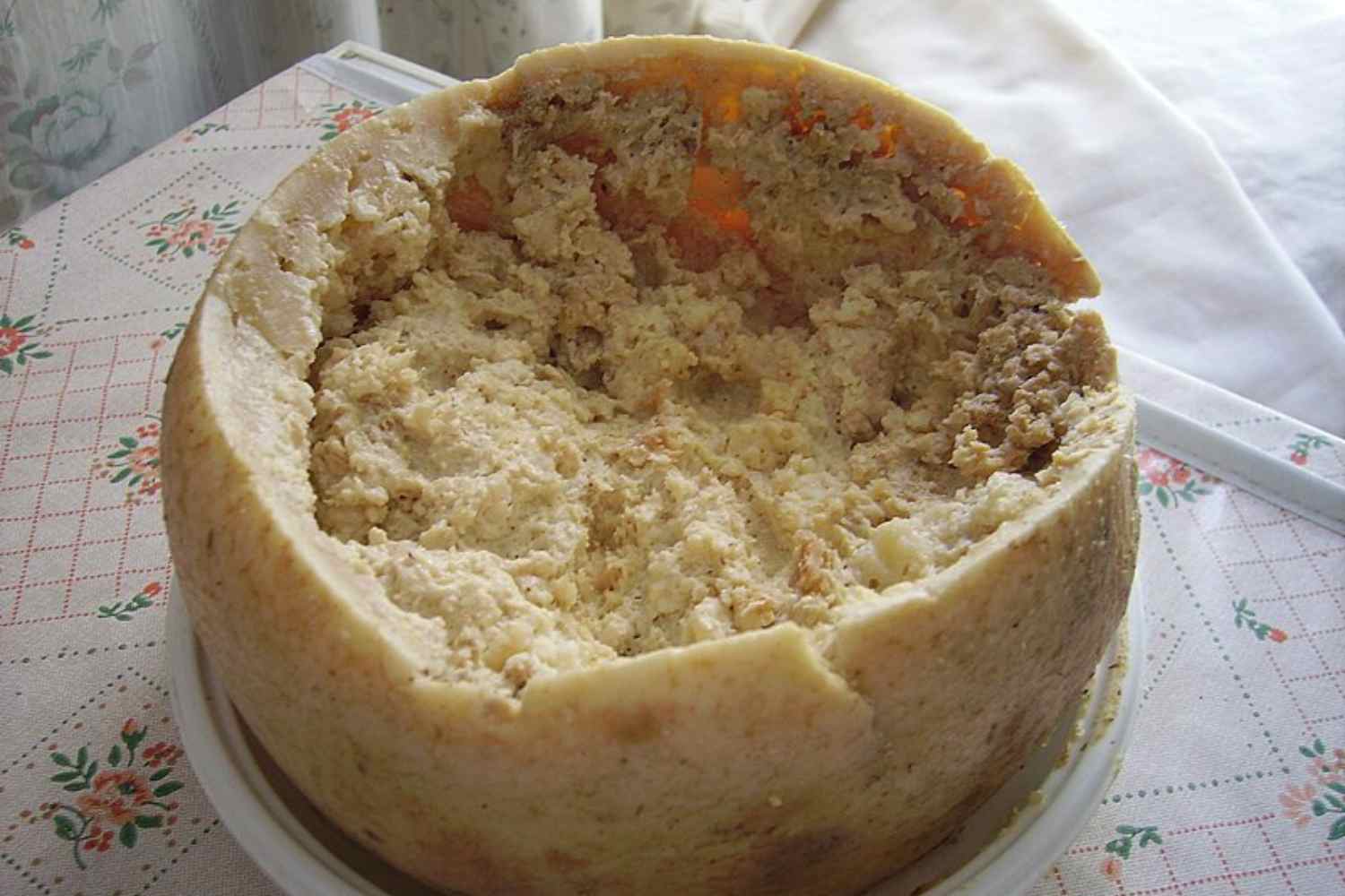 casu marzu