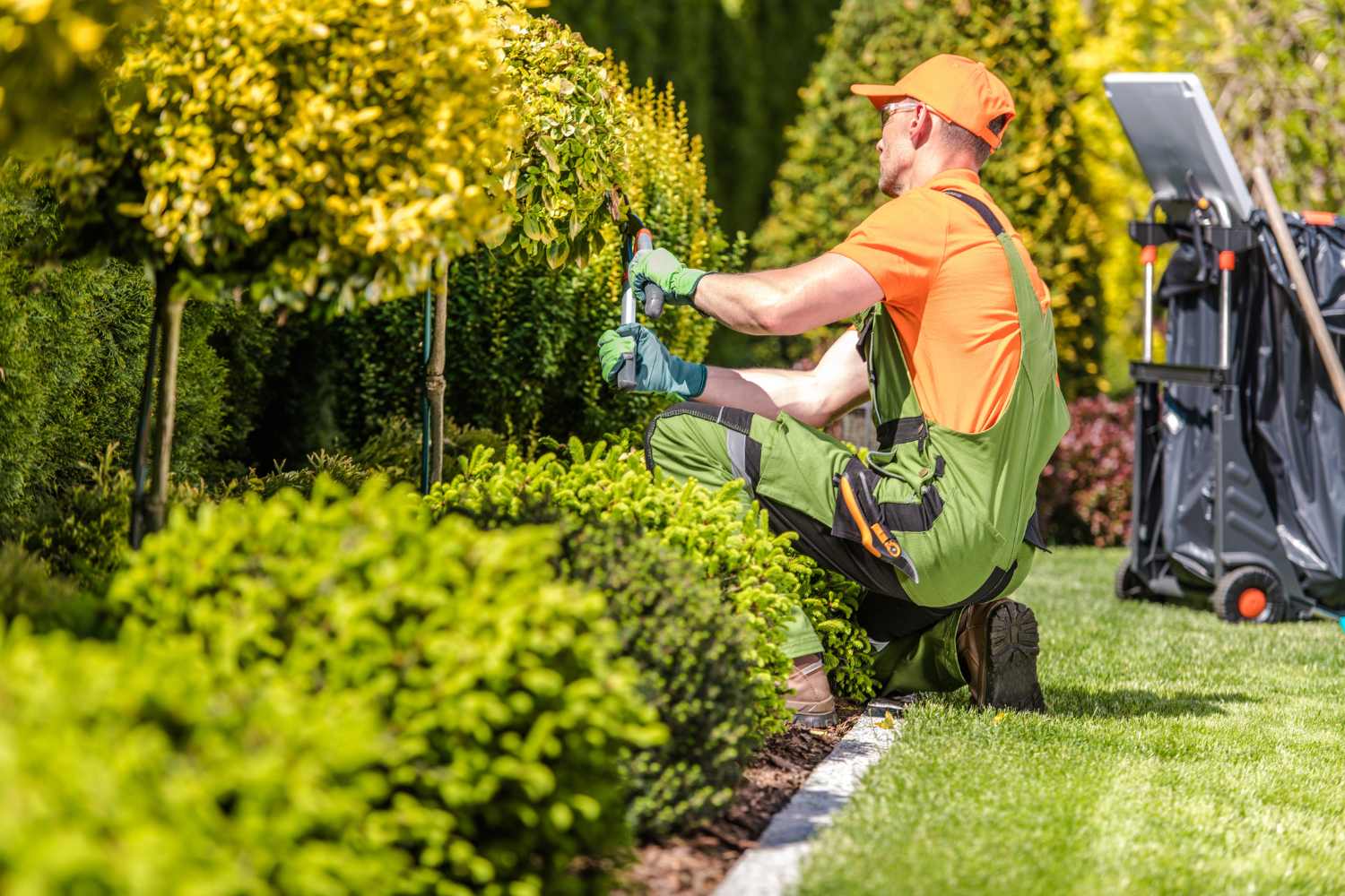 Giardino: 9 lavori nell’orto da fare nel mese di febbraio per averlo ricco e colorato in primavera 1 lavori in giardino.jpg