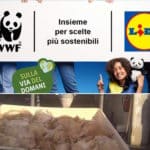 lidl greenwash.jpg