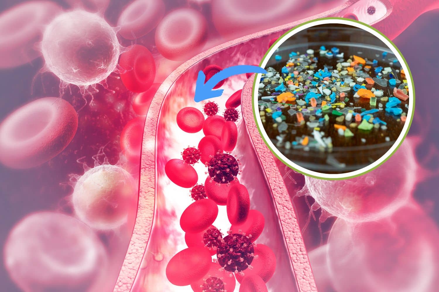 Microplastiche nel sangue: scienziati hanno avuto la prova che ostruiscono anche il flusso sanguigno 1 microplastiche sangue.jpg