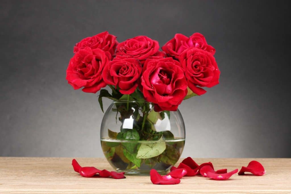 rose rosse.jpg