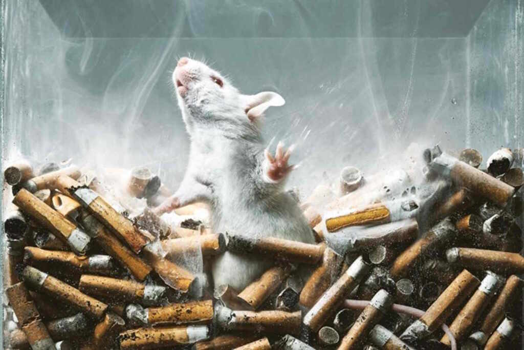 test animali fumo e sostanze