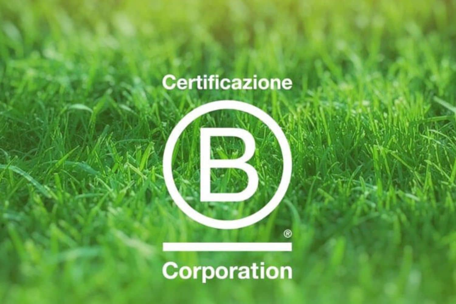 Cover Redazione Nuova 1500 x 1000 px 2025 03 21T115623.734.jpg