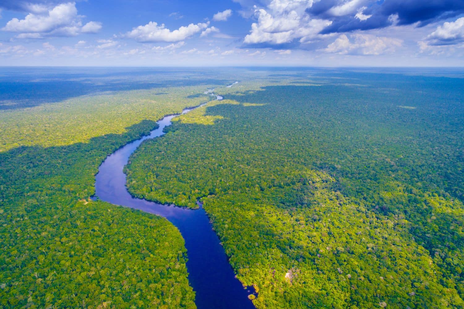 L’Irlanda sostiene l’Amazzonia nella lotta alla deforestazione con 15 milioni di euro 1 Cover Redazione Nuova 1500 x 1000 px 2025 03 24T111246.329.jpg