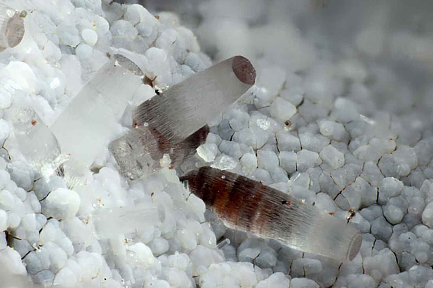 Erionite.jpg