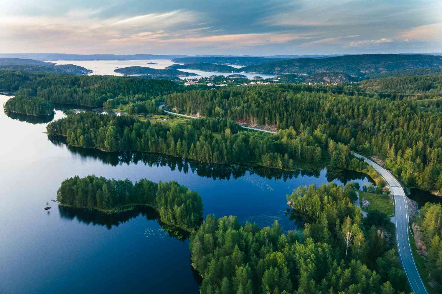 Norvegia deforestazione.jpg