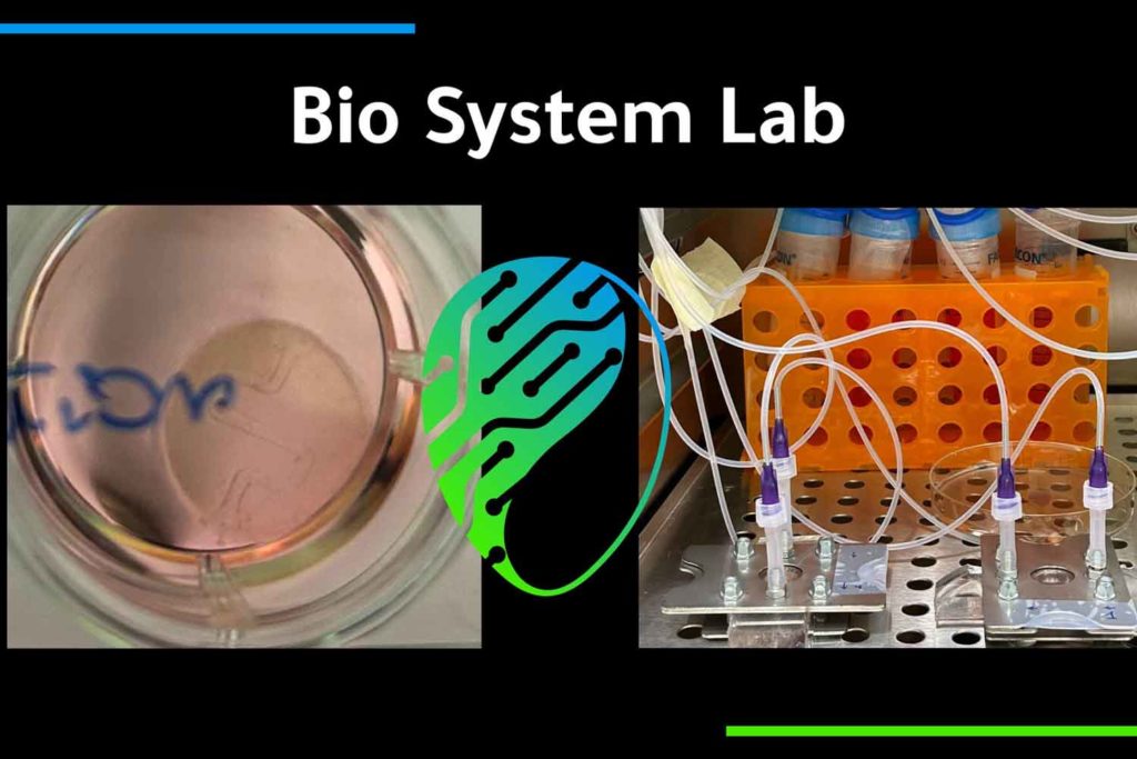 Pelle biostampata Bio System Lab.jpg