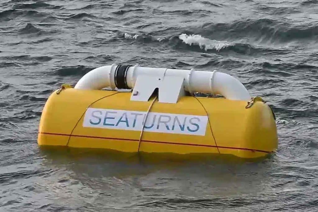 Seaturns.jpg