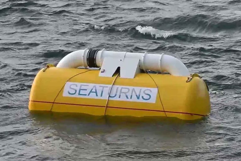 Seaturns.jpg
