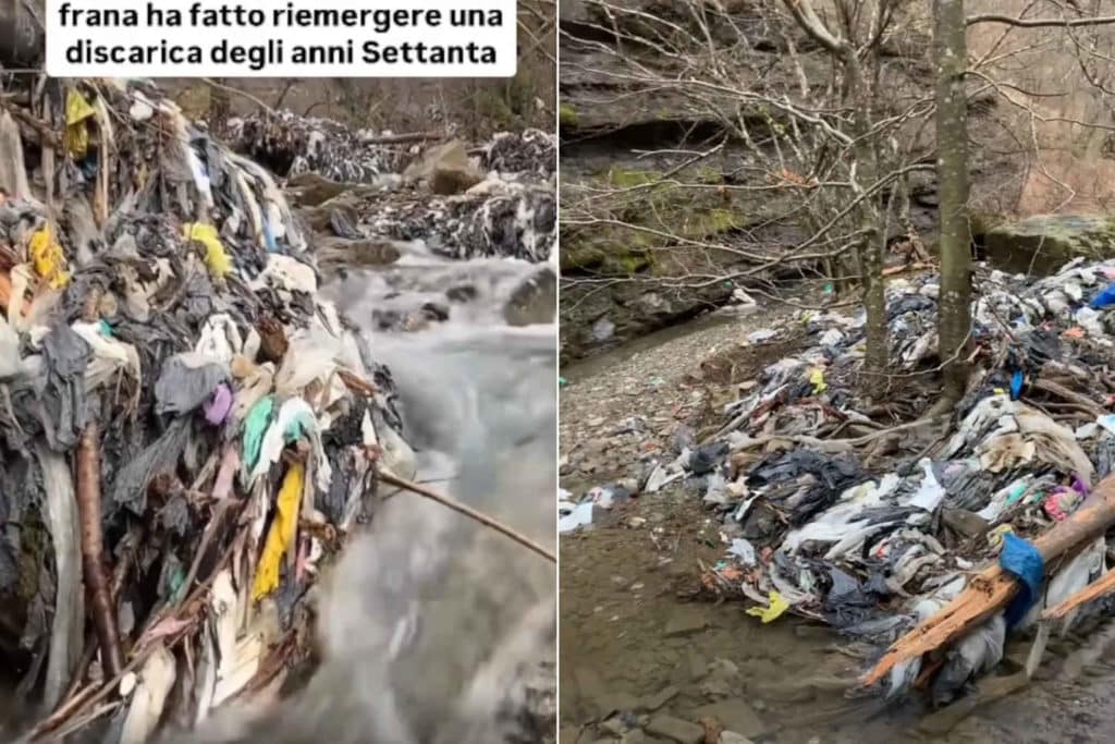 Torrente Rovigo.jpg