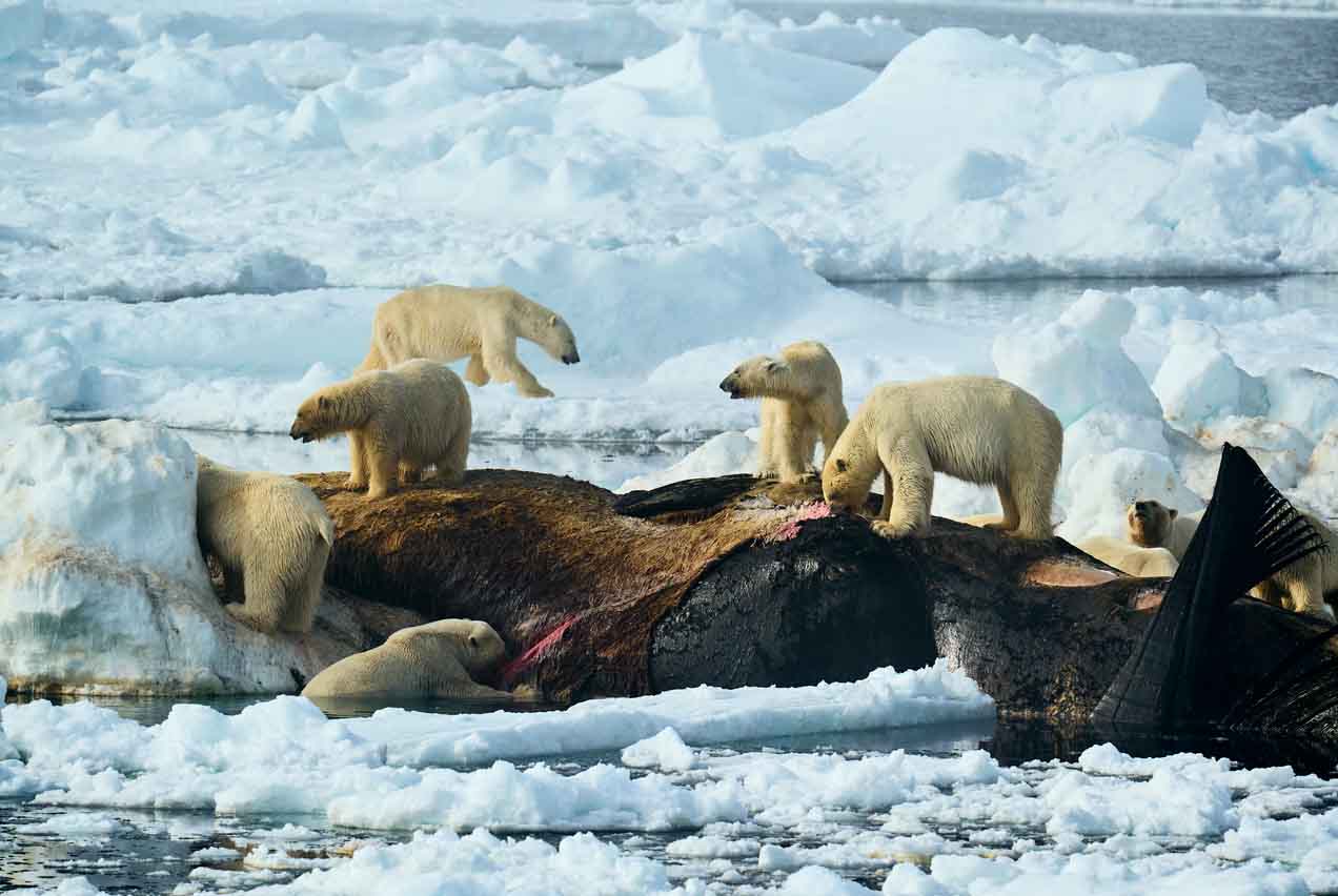 Sony World Photography Awards Open Competition 2025: le foto vincitrici sono impressionanti 1 estebane rezkallah ok.jpg