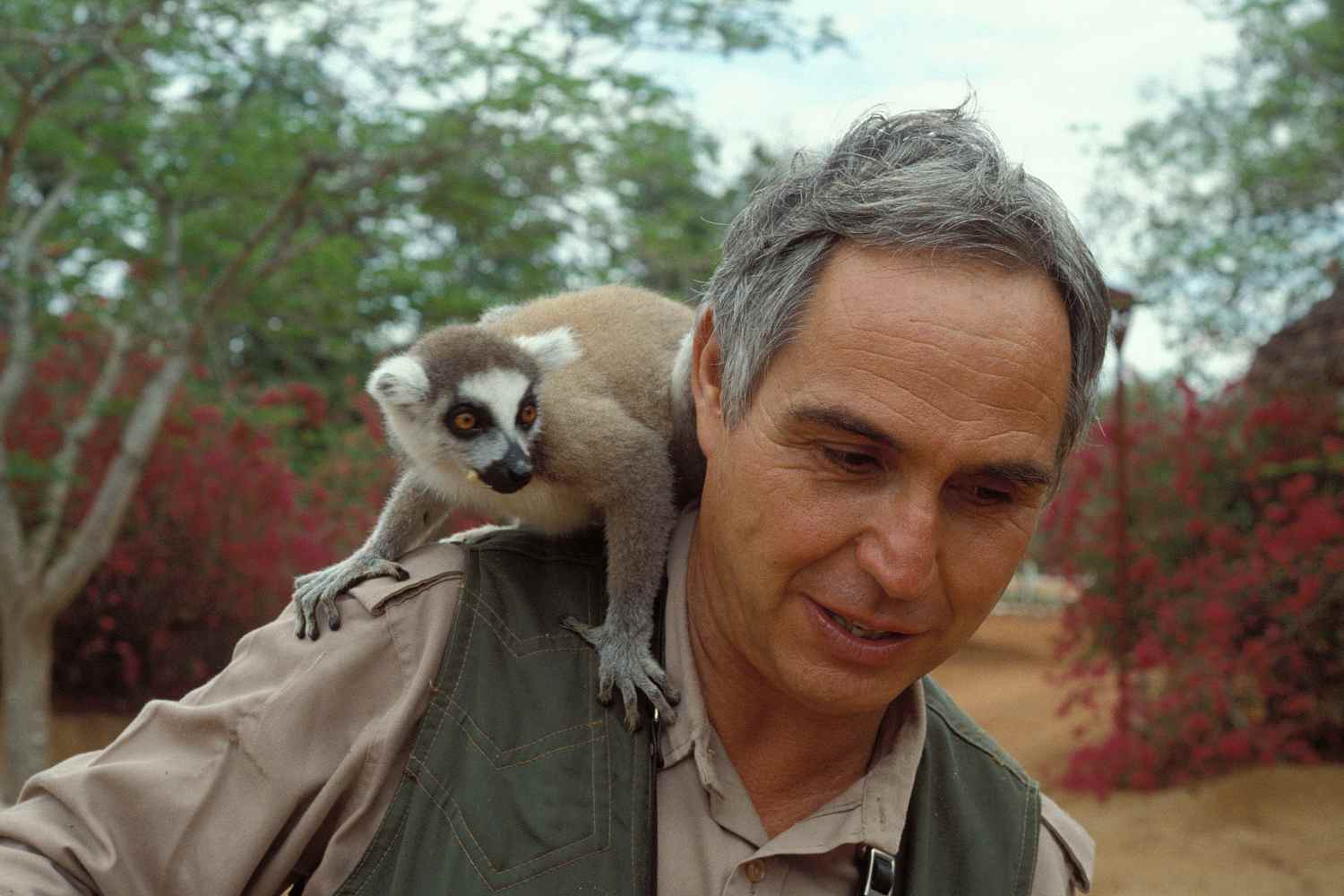 fulco pratesi wwfitalia 1.jpg