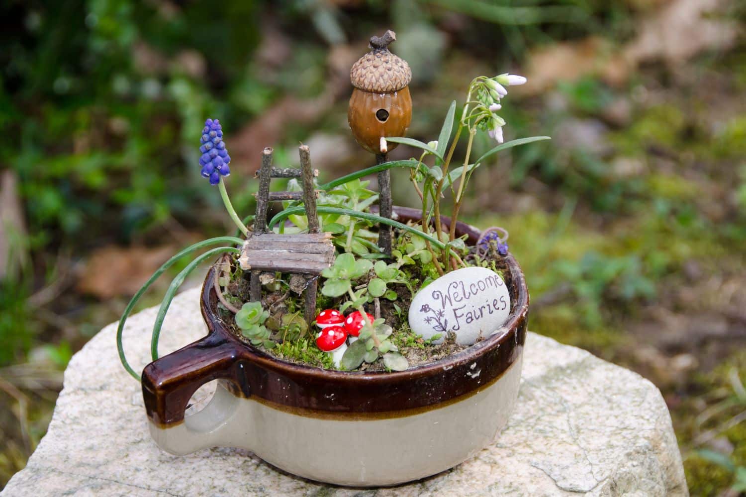 Come realizzare un piccolo (e delizioso) giardino delle fate all’aperto 1 giardino delle fate.jpg