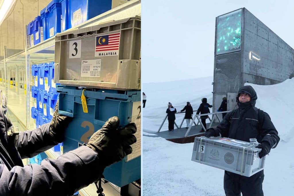 malesia svalbard.jpg