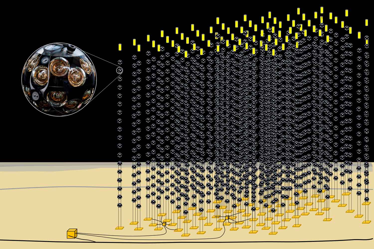 neutrini record.jpg
