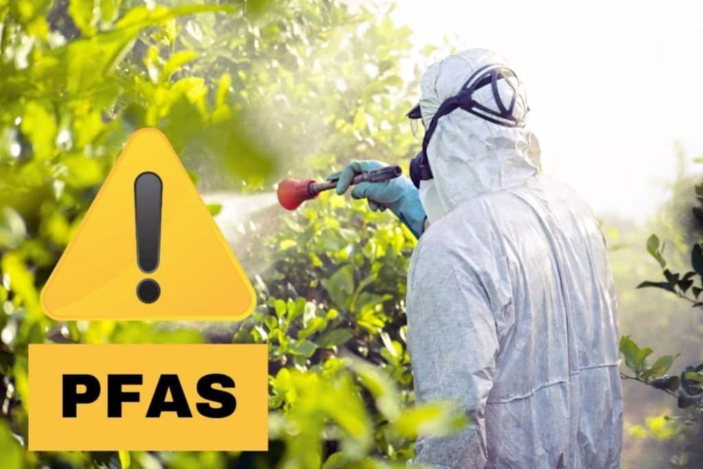 pesticidi pfas.jpg
