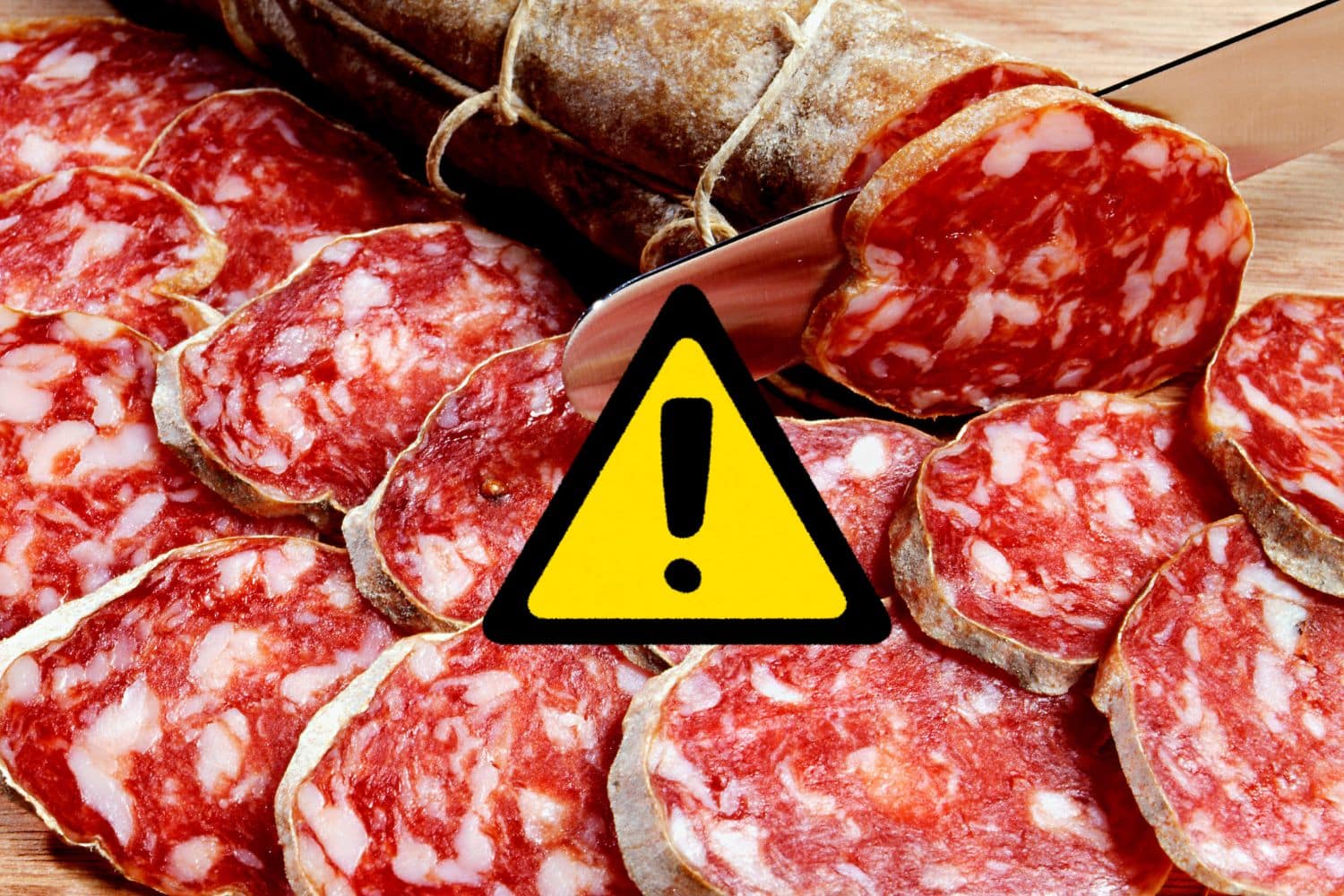 Allarme Escherichia coli: scatta il richiamo per questi lotti di salamini venduti nei nostri supermercati 1 salame allerta.jpg
