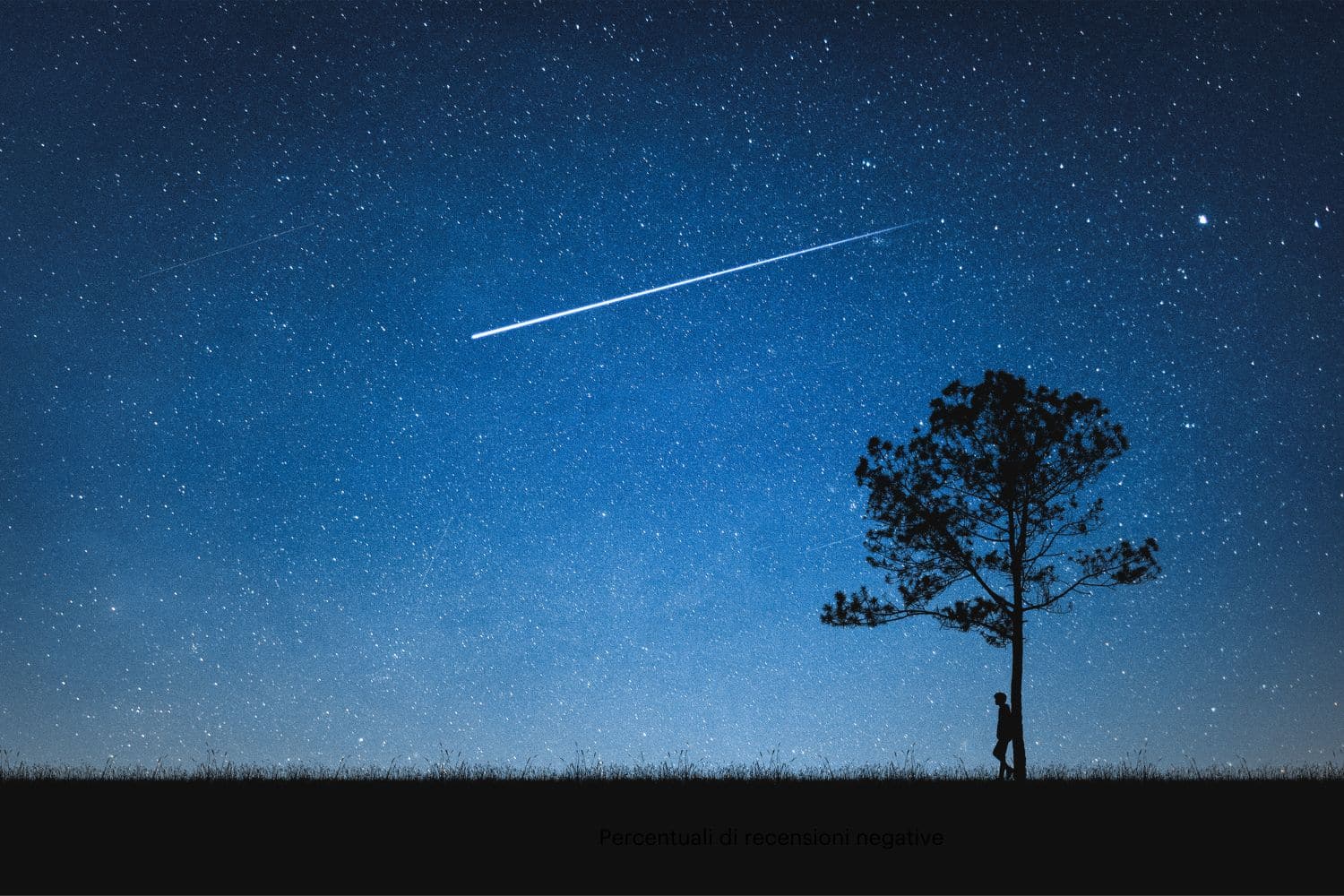 Le stelle cadenti di marzo non sono finite, prepariamo altri desideri per la prossima pioggia di meteore! 1 stella cadenti camelopardalidi 24mar2025.jpg