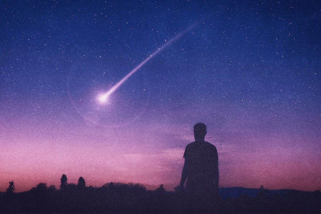 stelle cadenti delta leonidi 2mar2025.jpg