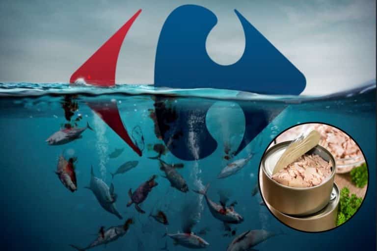 tonno carrefour mercurio.jpg