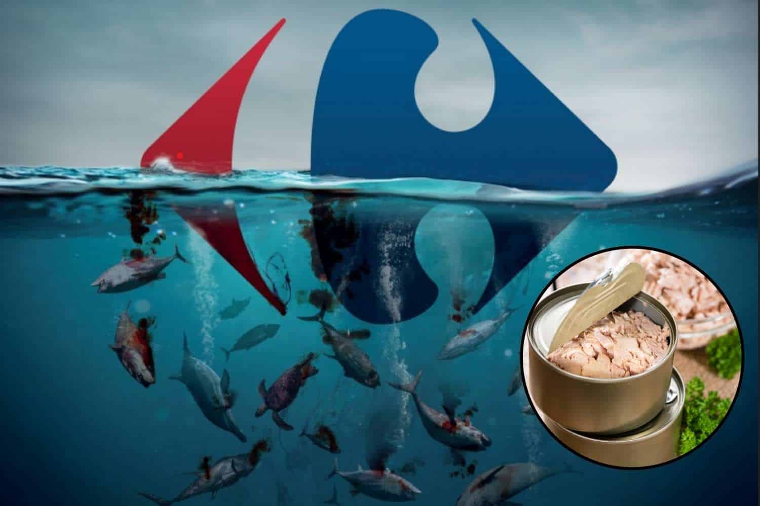 tonno carrefour mercurio.jpg