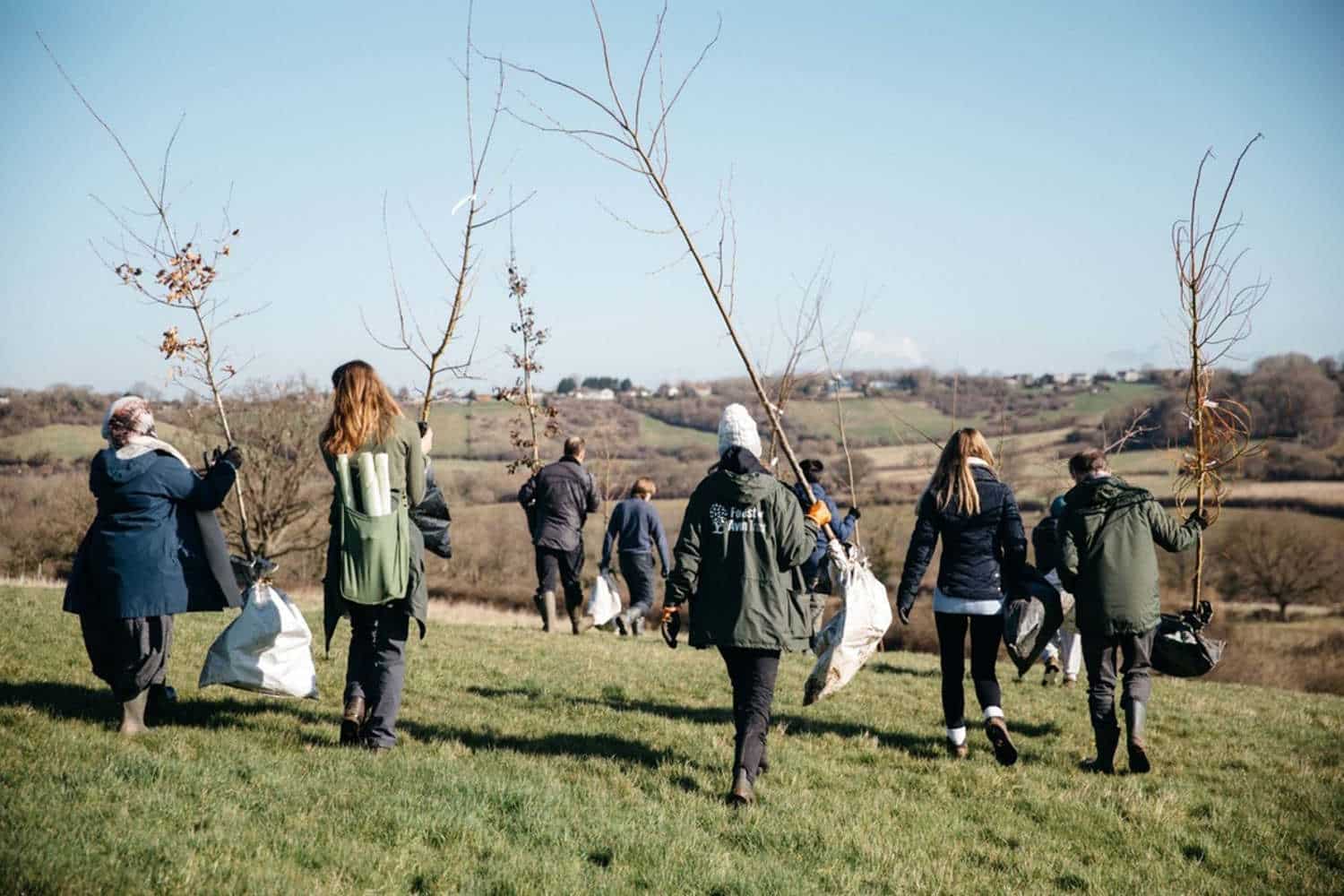 Oltre 20 milioni di alberi da piantare nei prossimi 15 anni, il Governo inglese annuncia la nuova foresta nazionale 1 uk foreste.jpg