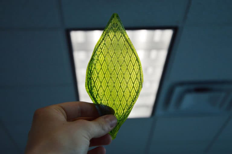4leaflab o.jpg